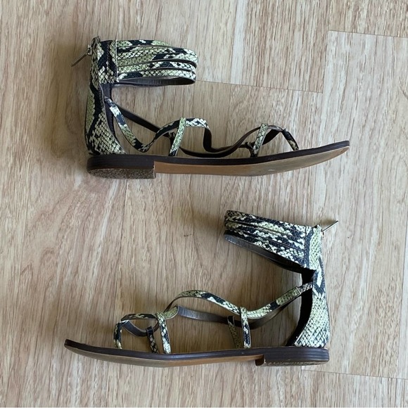 Sam Edelman Women's Sandals Green Snake-like Gladiator Style Size 9.5M - Picture 1 of 8